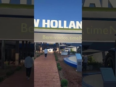 هولندا الجديدة